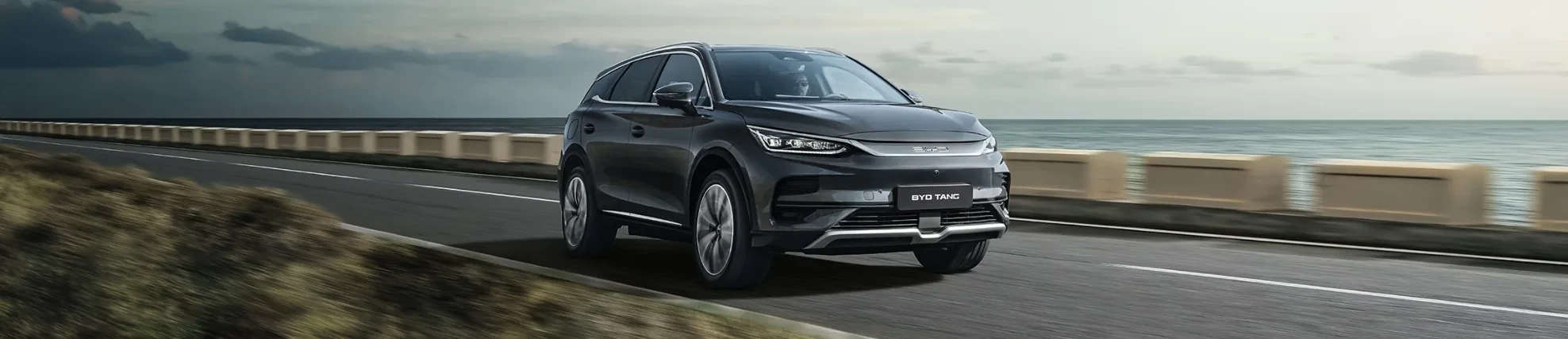 Offerte 尊龙凯时 Tang senza rate mensili